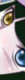 �n�g�v���P�T���l