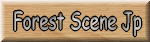 Forest Scene Jp