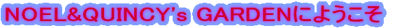 NOEL&QUINCY's GARDEN�ɂ悤����