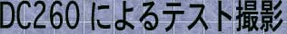 DC260�ɂ��e�X�g�B�e