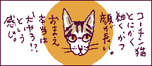 うまづら猫