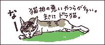 ドラ猫