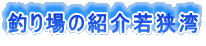 ނ̏Љዷp