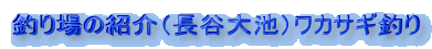 ނ̏ЉiJrjJTMނ