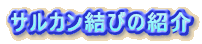 TJт̏Љ