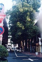 オークス通り