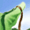 Dragonyx Sanctuary.�i�W����j