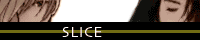 SLICE