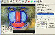 image viewer