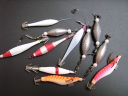魚種別攻略イイダコ