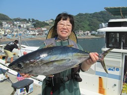 魚種別攻略メジカツオ