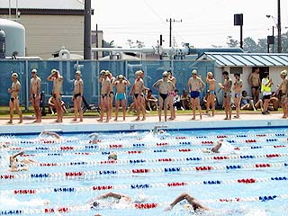 swim.jpg (41739 バイト)