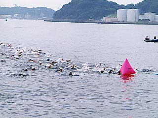 swim.jpg (24552 バイト)