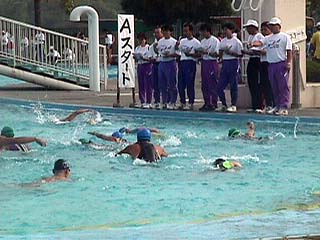 swim.jpg (26170 バイト)