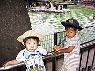 zoo