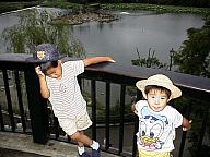 zoo