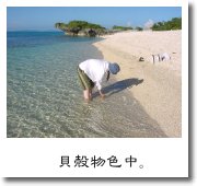 貝殻物色中。