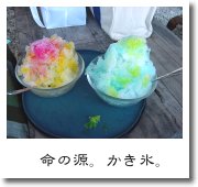 命の源。かき氷。