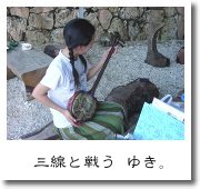 三線と戦う ゆき。