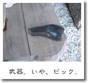 武器。いや、ピック。