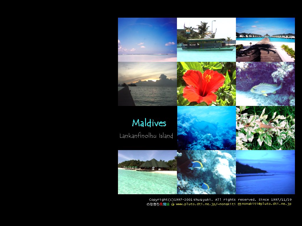 �����J���t�B�m�[����