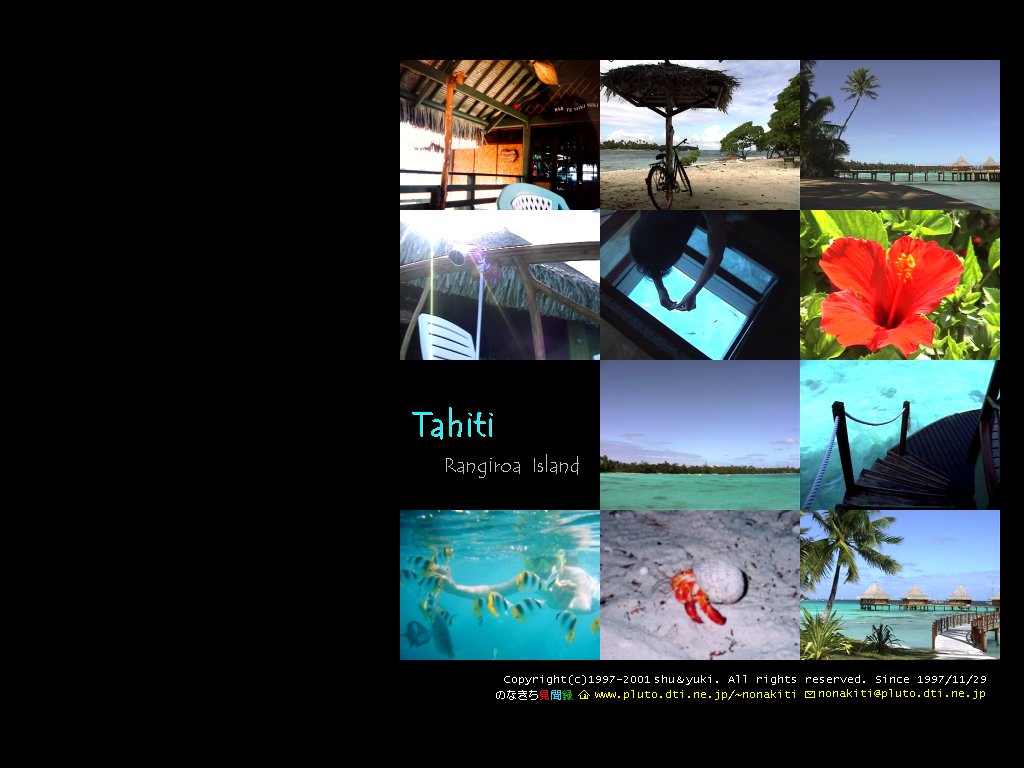 �����M���A�� �P