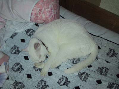 �l�ԗl�̂ӂƂ�ŁE�E�E