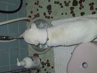 �݂���D��