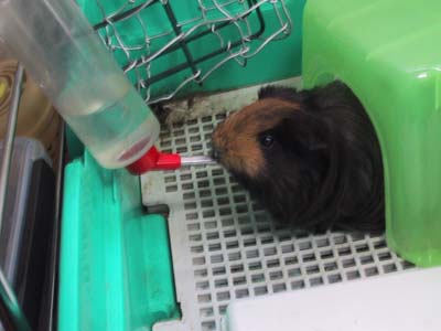 �݂�Ƃ̃������b�g