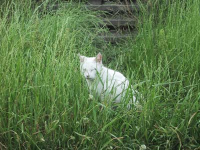 ���������C��