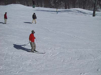 �{�[�Q���H