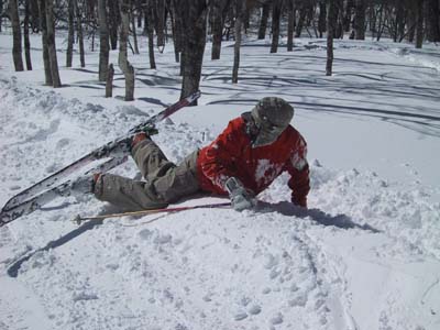 �h���S���X�N�����[