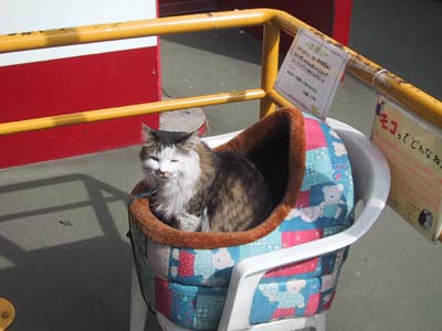 ����Ȃ烂�R