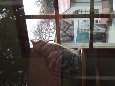 ��������L