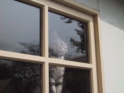 ��������L�Q