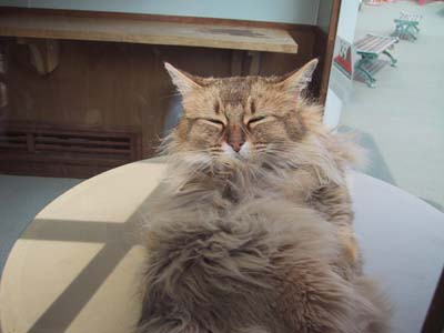 �N���Ă�́H