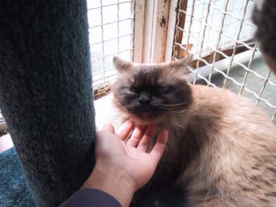 �����v�`