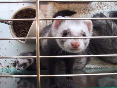 ��������Ⴂ�܂��[