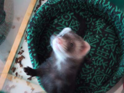 �W�����v�I