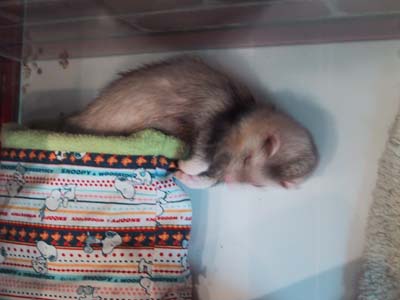 ���₦���