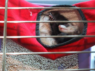 �n�����b�N