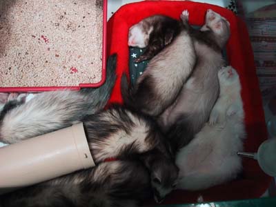 �݂�Ȑ����Ă܂�