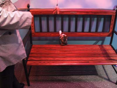 �˂�����炳��