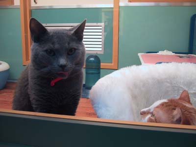 ���邾���ł�