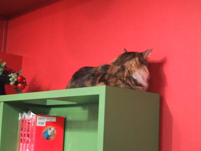 ���C�i�b�V���O