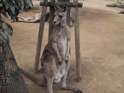 �J���K���H