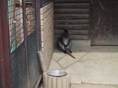 �q�L�R����