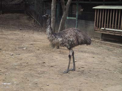 ������[��