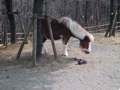 ���ׂ�܂���