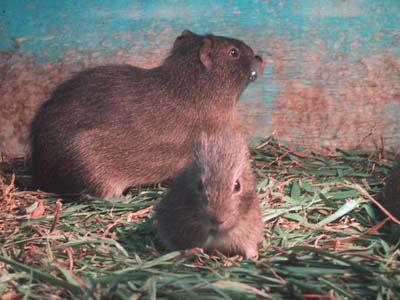 �����������܂�